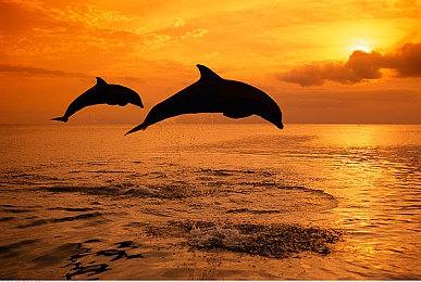 《真人快打12》发布新暗示预告 暗示系列将重启