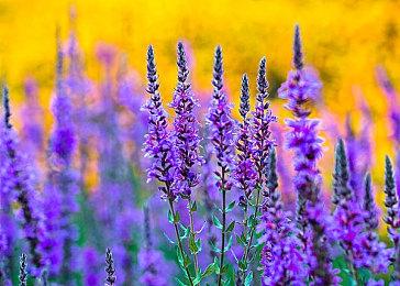 叙事RPG《奇唤士》中文实机演示发布 发售日期待定